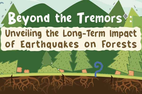 震撼森林：揭開地震對樹木恢復的長期影響 Beyond the Tremors: Unveiling the Long-Term Impact of Earthquakes on Forests