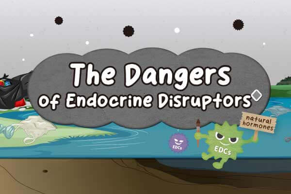 小心！是環境荷爾蒙 The Dangers of Endocrine Disruptors