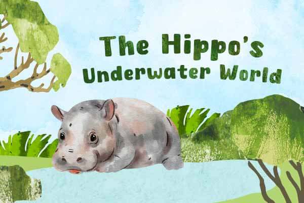 河馬的水生活和你想的不一樣！？The Hippo’s Underwater World
