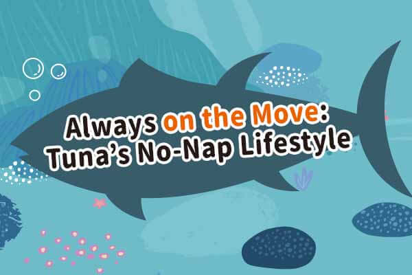 鮪魚鮪魚水中游 游來游去永不休 Always on the Move: Tuna’s No-Nap Lifestyle
