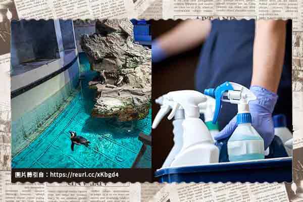 美國水族館開設企鵝養老村/旅宿業吹起綠色風潮　減少房務來種樹