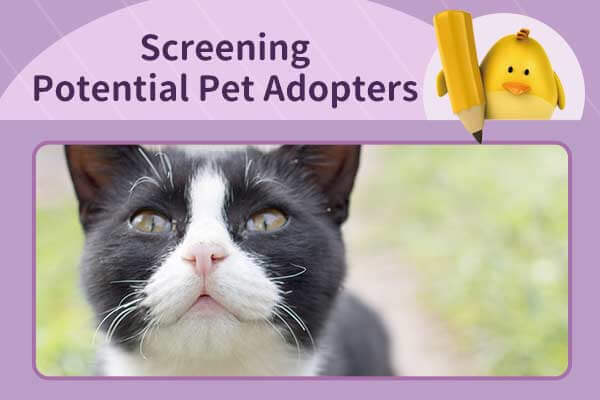 幫貓咪找個家Screening Potential Pet Adopters