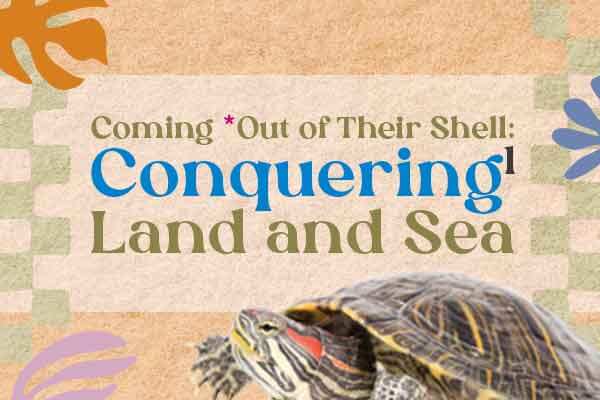 ✓地上爬　✓水裡游　龜龜生存這件小事Coming *Out of Their Shell: Conquering Land and Sea