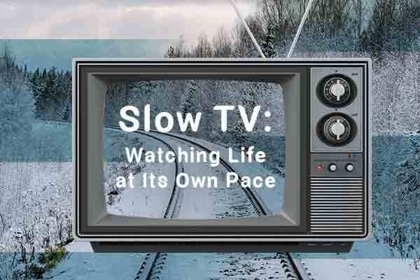 這些節目不「演」了　卻叫人欲罷不能Slow TV:  Watching Life at Its Own Pace