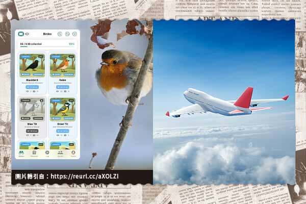 英國賞鳥 App 蒐集鳥類圖卡，玩法好像寶可夢！/Z 世代陷社群壓力，沒出遊、旅遊不夠都焦慮