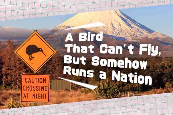 不會飛卻是國鳥級　你說奇異不奇異？A Bird That Can’t Fly,  But Somehow Runs a Nation