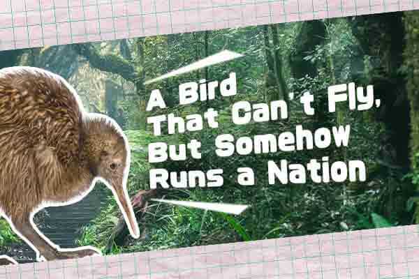 不會飛卻是國鳥級　你說奇異不奇異？A Bird That Can’t Fly, But Somehow Runs a Nation
