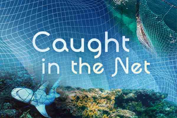 網住安全，還是困住海洋生態？Caught in the Net