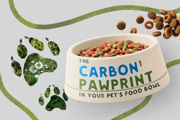 毛小孩碗中的「碳爪跡」The Carbon Pawprint in Your Pet’s Food Bowl