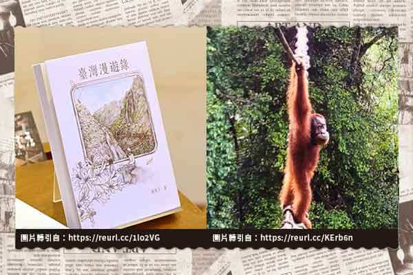 《臺灣漫遊錄》奪國際布克獎/蘇門答臘紅毛猩猩首度踏上「保命樹冠橋」