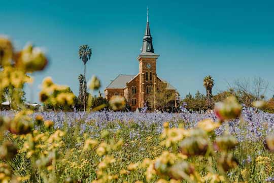 納馬夸蘭：一訪野地奇景(下) Namaqualand—Take a Walk on the Wild Side