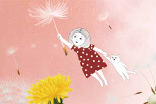 輕盈的多功能花朵 —— 蒲公英 Handy, Dandy Dandelions
