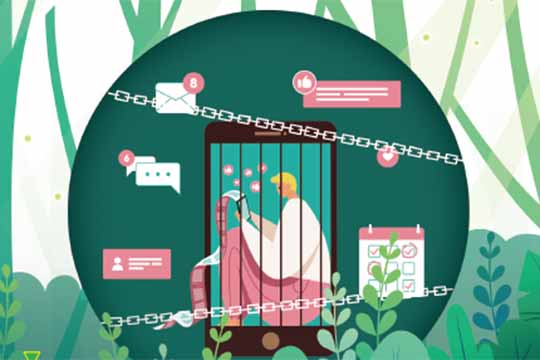 數位排毒：科技斷捨離 Digital Detox: Get off Your Phone!