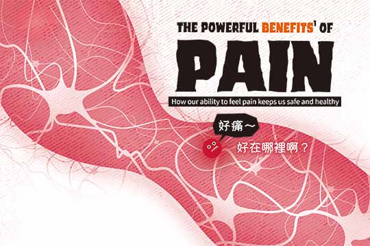 好痛～好在哪裡啊？(上) The Powerful Benefits of Pain