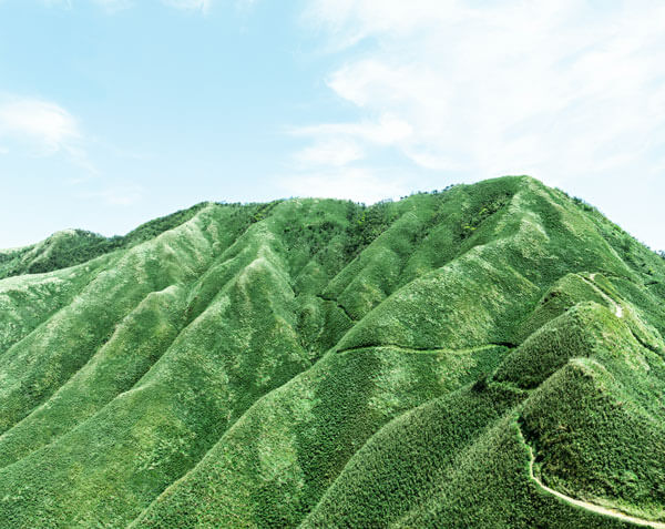 好想咬一口！宜蘭夢幻抹茶山 A Hike with Matcha and Religion