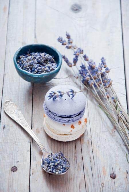 薰衣草｜浪漫‧芬芳‧療癒 Lavender: A Spice, Fragrance, and Medicine?