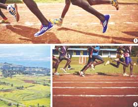 伊藤：長跑冠軍之鄉 Iten: The Small Kenyan Town of Champion Runners