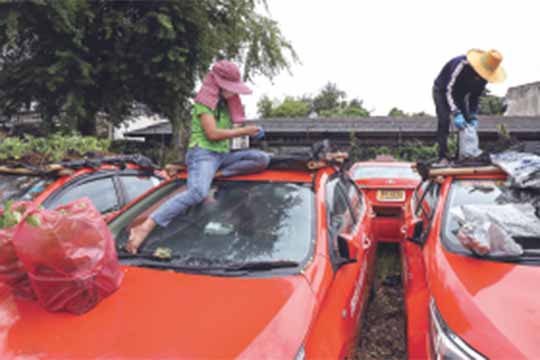 泰國計程車菜園 Bangkok’s COVID-Era Taxi Rooftop Gardens