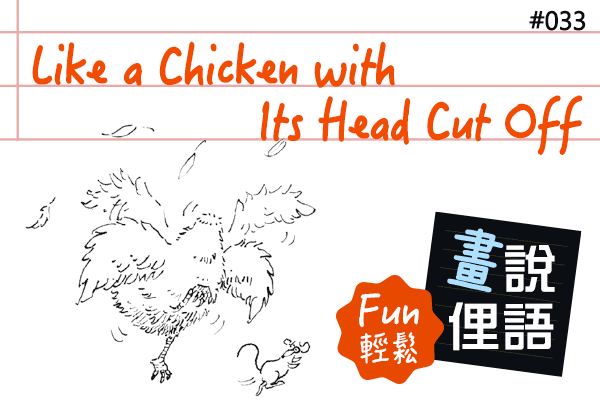 【畫「說」俚語 Fun 輕鬆】#33 Like a Chicken with Its Head Cut Off 像無頭蒼蠅一樣