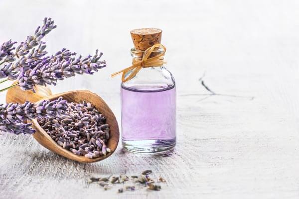 薰衣草｜浪漫‧芬芳‧療癒 Lavender: A Spice, Fragrance, and Medicine?