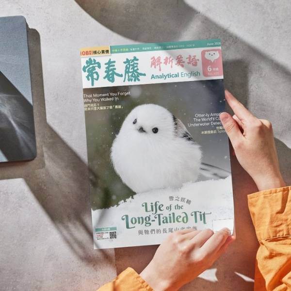 常春藤解析英語雜誌封面