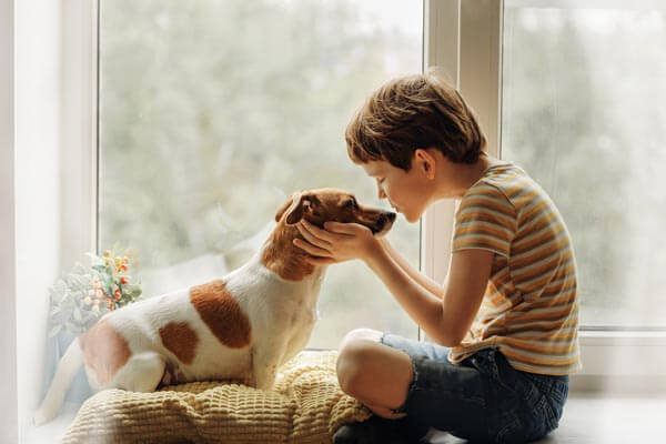 常深情看著你、也是最懂你的汪星人 Man’s Best Friend and Doctor